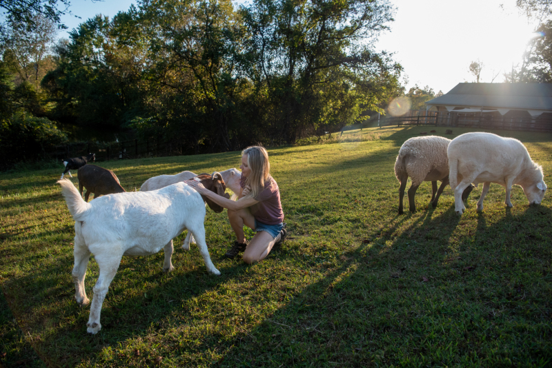 1_Milani_RosiesFarmSanctuary-3