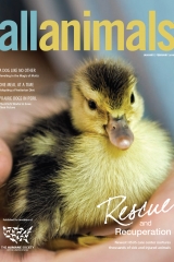 Cover_030409