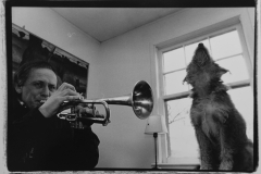 KCMdogtrumpet