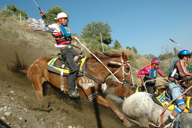 The Suicide Race begins with a full gallop over a 60-degree rocky cliff that is 210 feet in length. The horses' feet are literally in the air as they are forced over the steep ravine. Some horses somersault down the mountain and are trampled by other horses. If horse and rider are lucky enough to survive they are then forced to swim or run, depending on the depth of the unpredictable Okanogan River, a span of approximately 50 yards, where more than one horse has drowned over the years.As the animals struggle out of the river, riders kick and whip the horses into a gallop up a steep grade to the finish line inside the Stampede Arena. By the end of the final uphill sprint, the surviving animals stand panting and exhausted. A number of horses have even collapsed and died in the arena after completing the race.  The horses and riders who successfully complete the practice and eliminations trials will go on to compete in the official four-day elimination race, as long as they successfully complete—and survive—the previous races.Every summer, the town of Omak, Washington holds the Omak Suicide Race for horse. it is held over the course of four days (three of the races occur at night), The Omak Suicide Race originated as an offshoot of the Omak Stampede, an annual rodeo. The Professional Rodeo Cowboy's Association (PRCA), the sanctioning organization for the Omak Stampede Rodeo, does not recognize the race as a standard rodeo event.