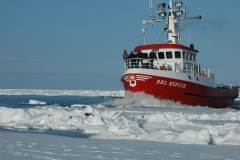 DSC_0147.JPG