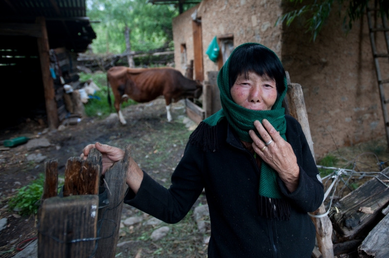 HSI provided veterinary care (c-section) to this woman's cow.Humane Society International Launches spay/neuter program in Bhutan.HSI on partnership with the Royal Government of Bhutan and the Bhutan Foundation are conducting a nationwide program to spay/neuter and vaccinate close to 50,000 dogs within 3-5 years.  Overpopulation of free-roaming dogs has been a major problem in Bhutan. For this Buddhist nation, controlling their numbers using fatal methods was never an option.Catch-neuter-vaccinate-release (CNVR) is a humane alternative to controlling the country's street dog population.