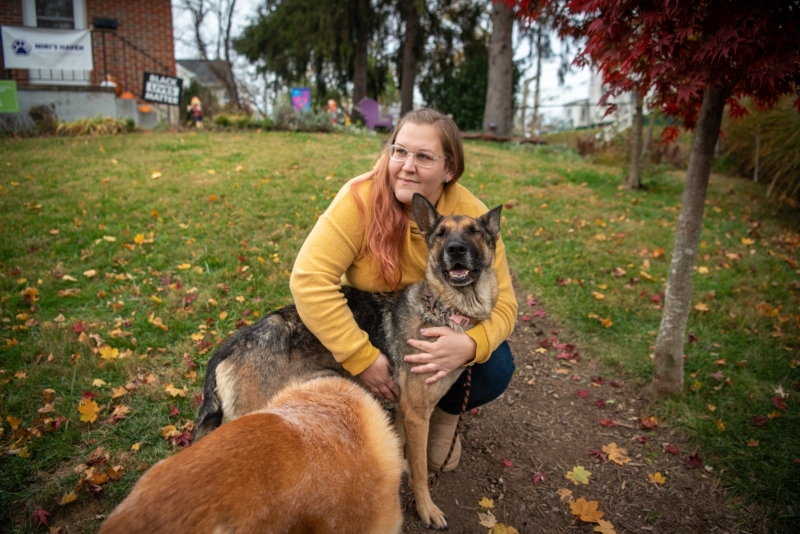 Lola, a German shepherd, improved immensely after arriving extremely underweight.