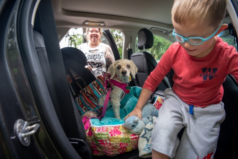 Rachel along with her son, Dylan, will foster Simone until she receives vet care and is adopted. Shelters often contact Miri's Haven to pull senior dogs from their shelter, in Simone's case-Prince William County.