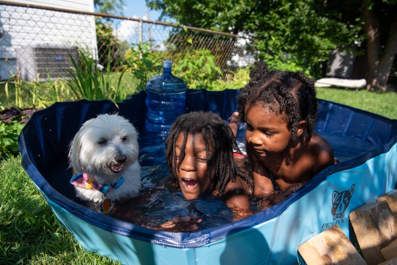 Senior ambassador, Cooper, enjoying some pool time with Georgia's nephews,  Logan and Omari.