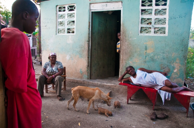 Humane Society International and Days End Farm Horse Rescue provided a 5-day training clinic to Haitian veterinarians on providing care to working equines.