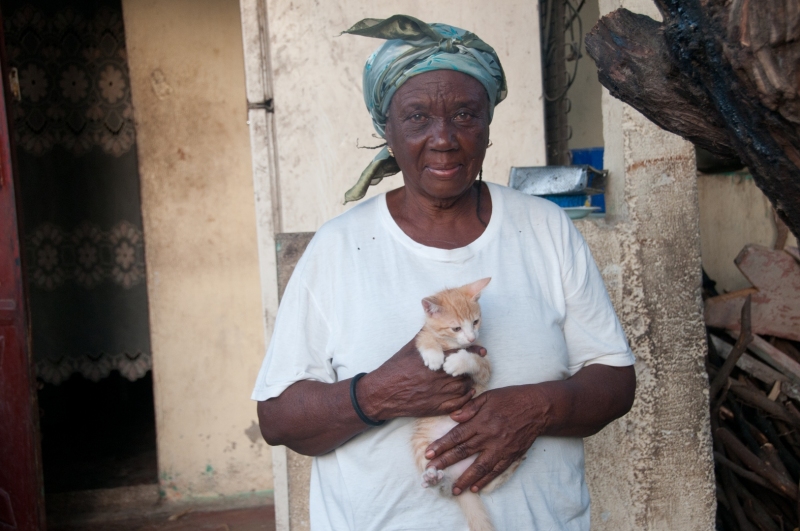 Humane Society International and Days End Farm Horse Rescue provided a 5-day training clinic to Haitian veterinarians on providing care to working equines.