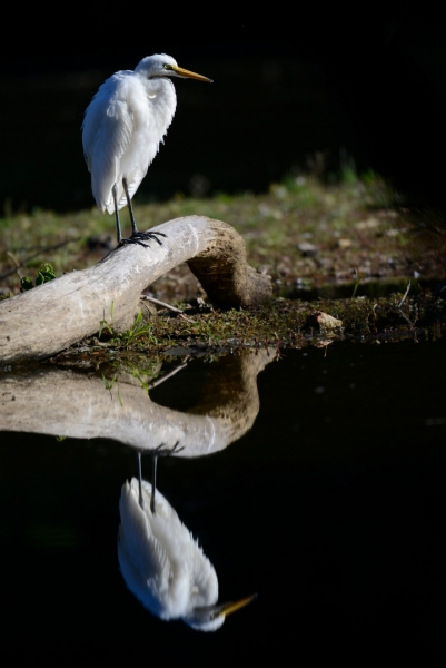 RESIZE_DSC0152