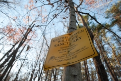 DSC_9193.jpg